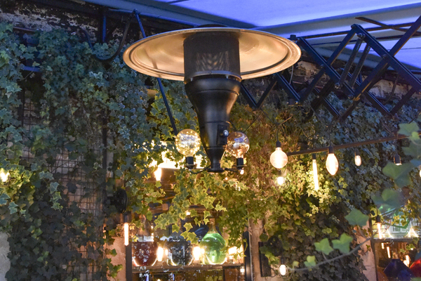 A terrace full of greenery Nice green terrace of a Parisian pizzeria