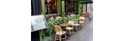 A terrace with pretty green colours A Parisian restaurant au naturel