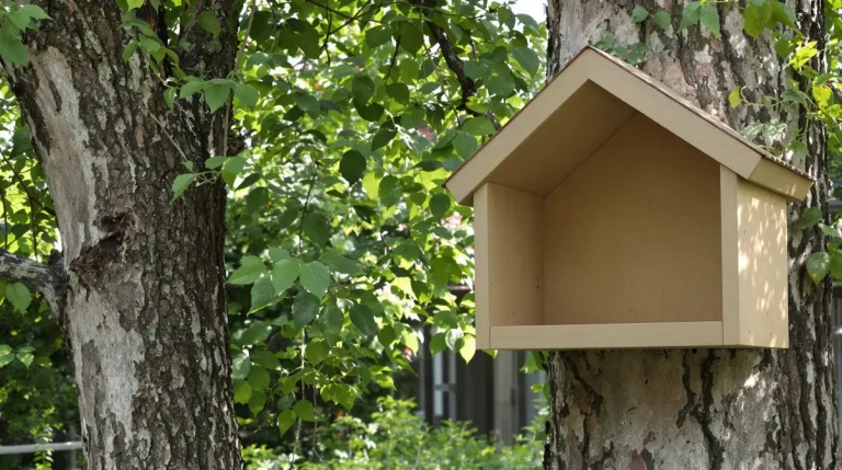 J'ai installé un nichoir au jardin, mais aucun oiseau ne vient s'y installer : que se passe-t-il ? J'ai installé un nichoir au jardin, mais aucun oiseau ne vient s'y installer : que se passe-t-il ?
