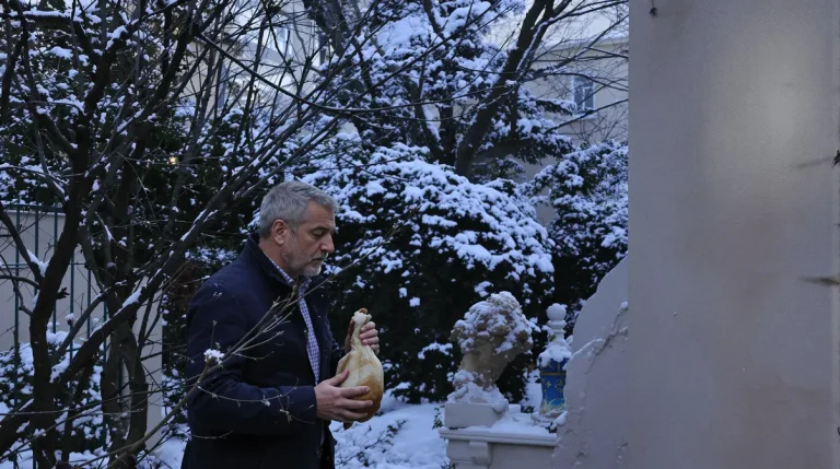 Jardiniers : cette habitude de laisser des œufs aux renards en hiver peut vraiment vous attirer de gros ennuis Jardiniers : cette habitude de laisser des œufs aux renards en hiver peut vraiment vous attirer de gros ennuis