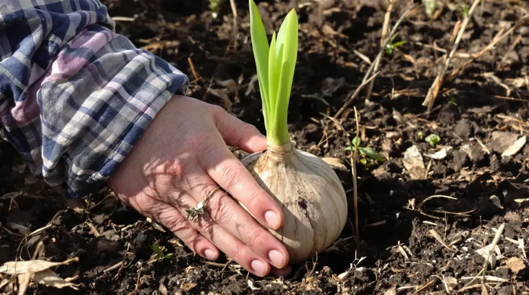 Plantez-les maintenant : ces fleurs reviennent chaque année vous émerveiller au jardin Plantez-les maintenant : ces fleurs reviennent chaque année vous émerveiller au jardin