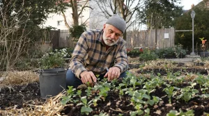 Plus de framboises sans effort : ce geste clé au jardin change vraiment tout