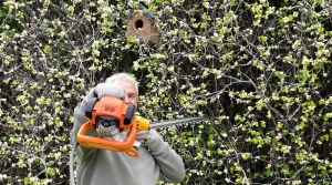Vous voulez voir des oiseaux dans votre nichoir ? Abandonnez d’abord cette mauvaise habitude