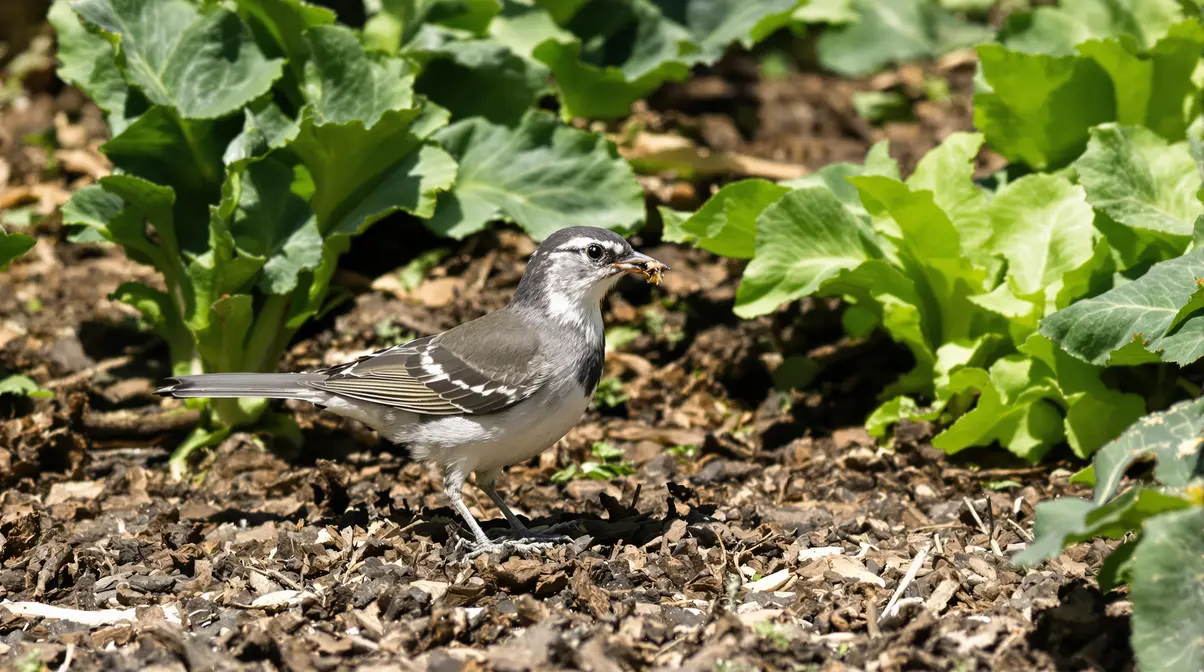 Adieu pucerons et chenilles : découvrez l’oiseau providentiel qui protège vraiment votre potager sans produits