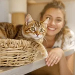 Ce refuge a trouvé la méthode pour que 100% des chats soient adoptés en moins d'une semaine