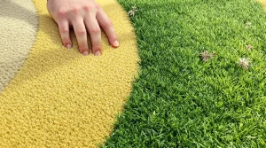 Jardin : pelouse envahie de mousse, ce geste avec ce produit avant fin mars pour la sauver