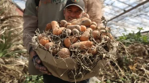 Je pensais tout savoir sur le jardinage, jusqu’à ce que je teste ces 3 méthodes de permaculture