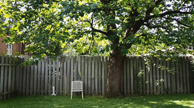Mon voisin peut-il m’obliger à couper un arbre de mon jardin ? Ce que la loi prévoit vraiment Mon voisin peut-il m’obliger à couper un arbre de mon jardin ? Ce que la loi prévoit vraiment