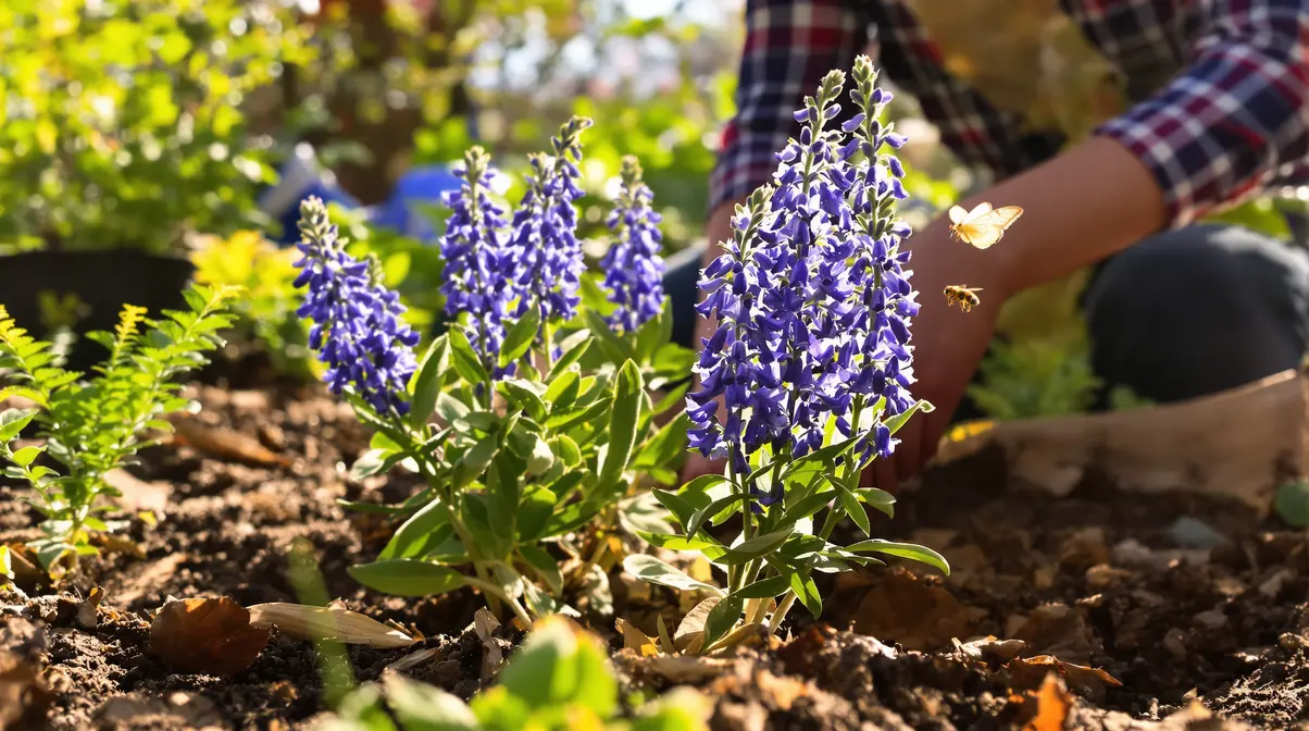 À planter maintenant : cette vivace aux fleurs bleues attire les abeilles et sublime le jardin À planter maintenant : cette vivace aux fleurs bleues attire les abeilles et sublime le jardin