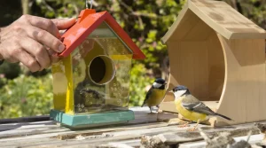 Pourquoi de plus en plus de passionnés d’oiseaux retirent leur nichoir moderne du jardin