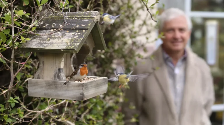 La date précise à partir de laquelle il faut réduire le nourrissage des oiseaux, voici pourquoi La date précise à partir de laquelle il faut réduire le nourrissage des oiseaux, voici pourquoi