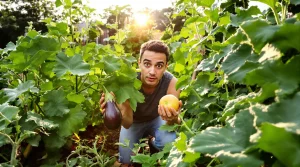 Top 8 des légumes les moins rentables à cultiver au jardin : chers, peu productifs et difficiles